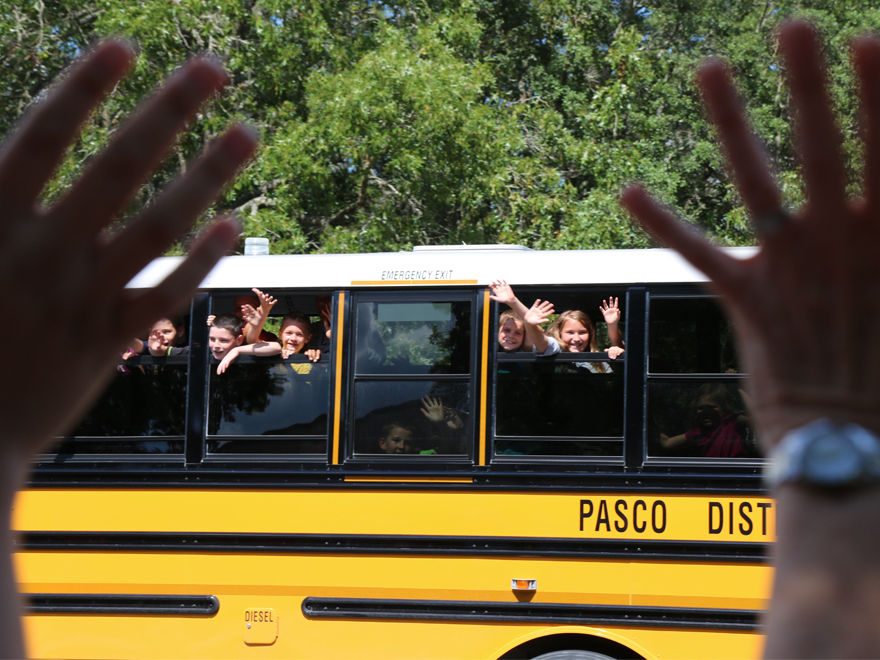 Have a GREAT Summer Turtle Families!